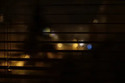 Beautiful night view through window blinds